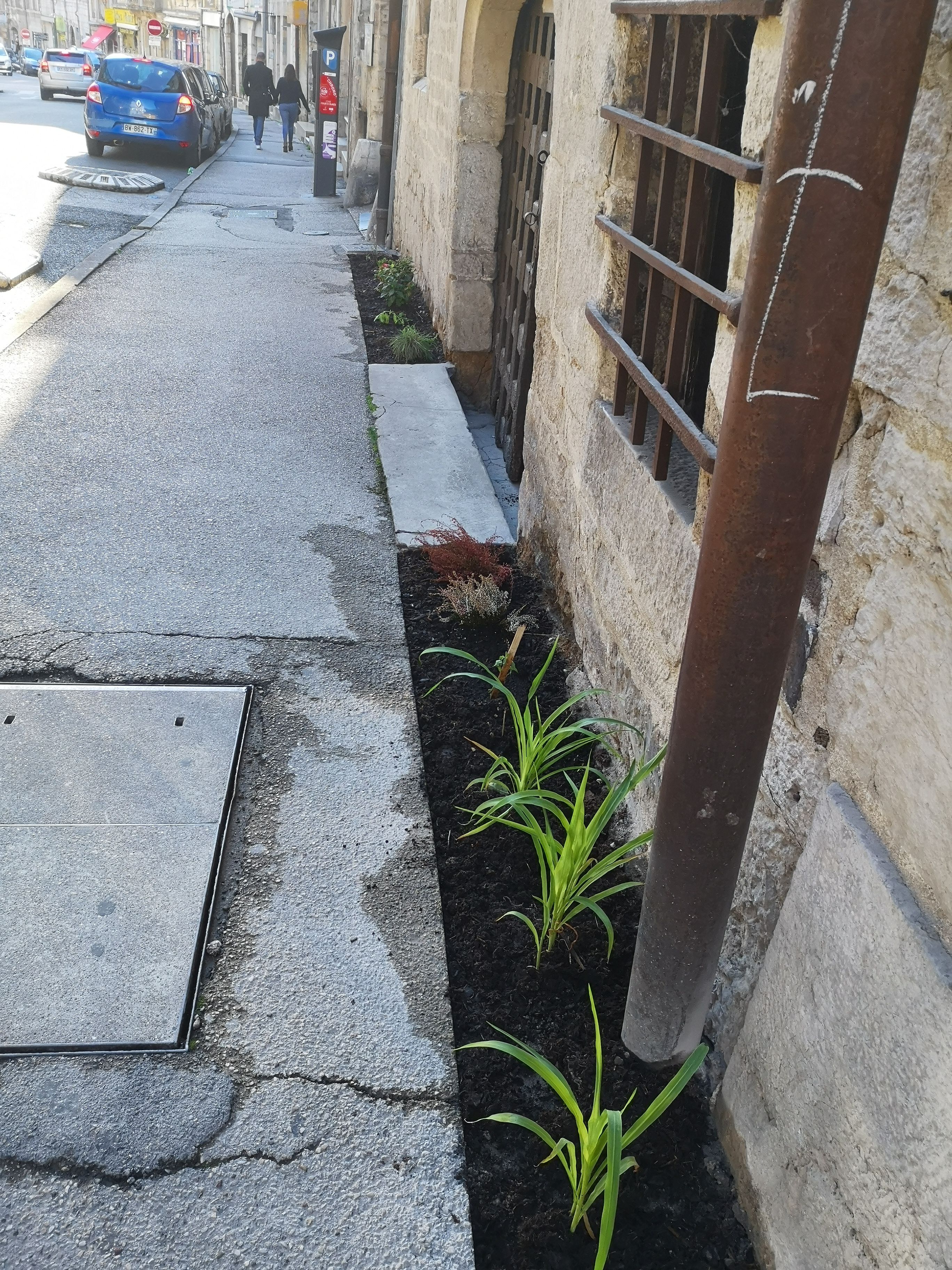 Odoo • Texte et Image